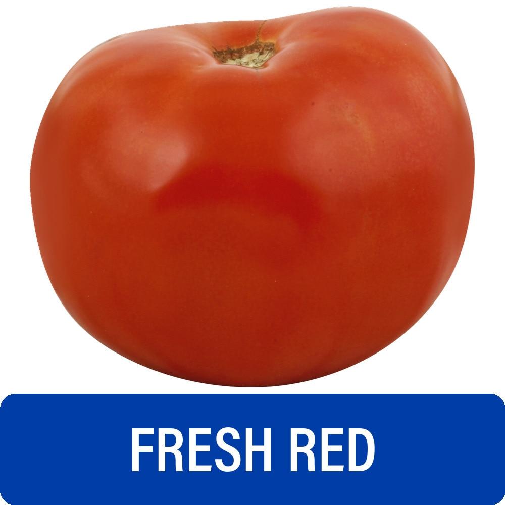 Fresh Red Tomato