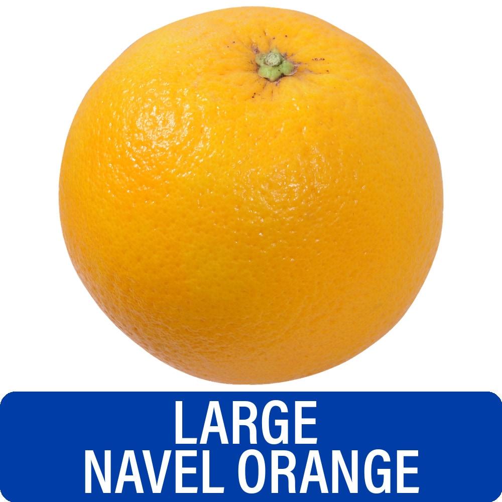 Large Fresh Navel Orange- Each