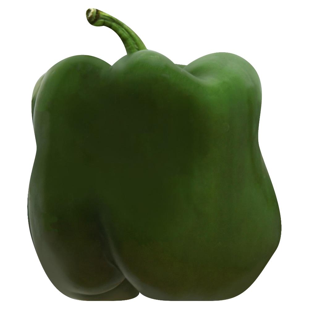Fresh Large Green Bell Pepper