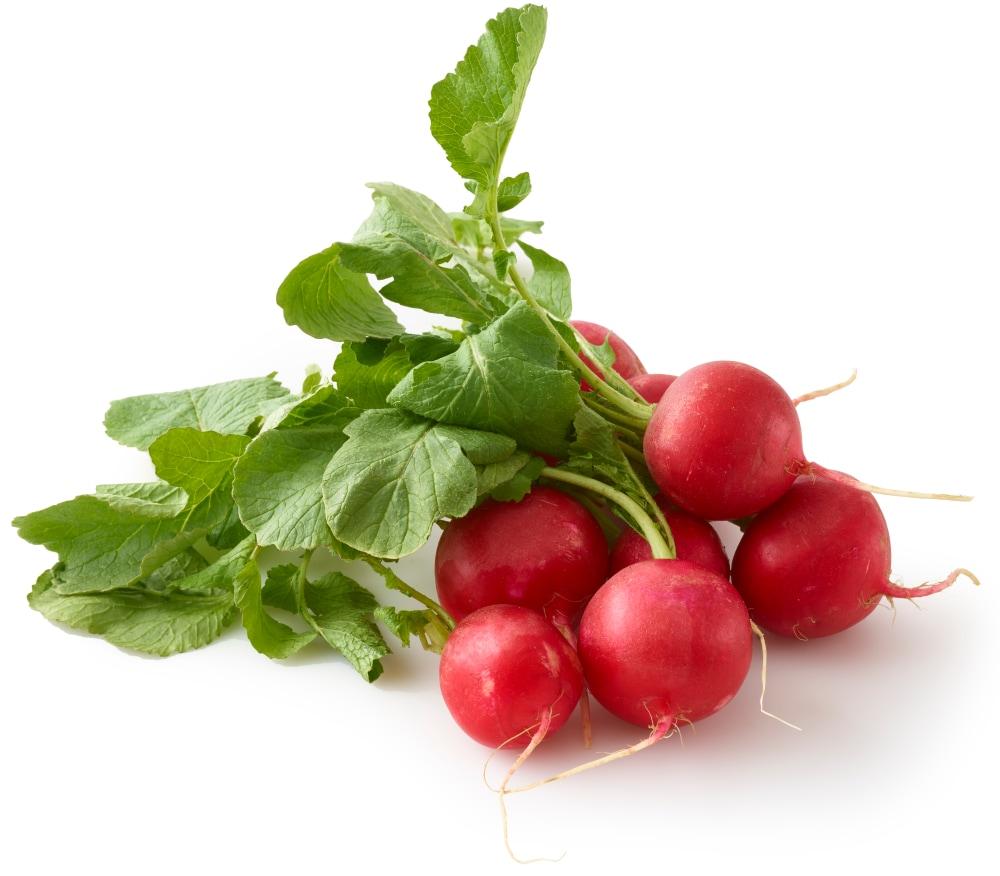 Green Top Red Radishes