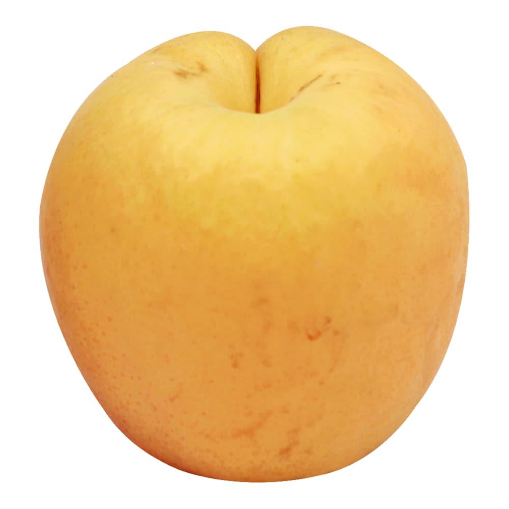 Apricots