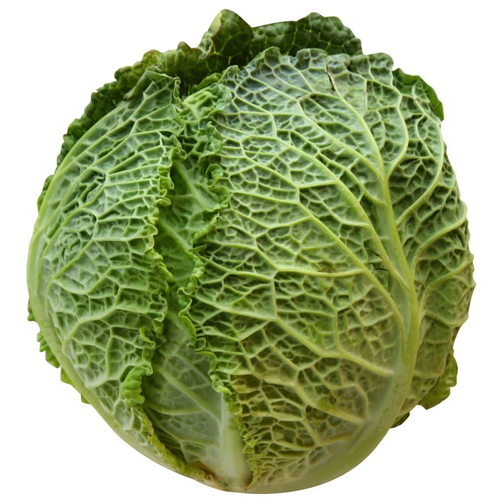 Green Savoy Cabbage
