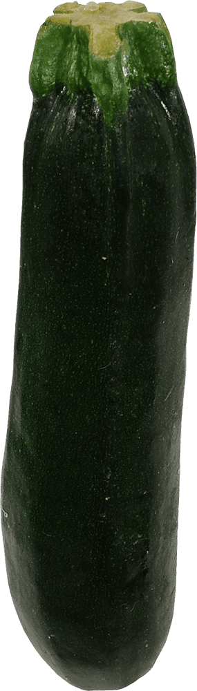 Baby Green Zucchini