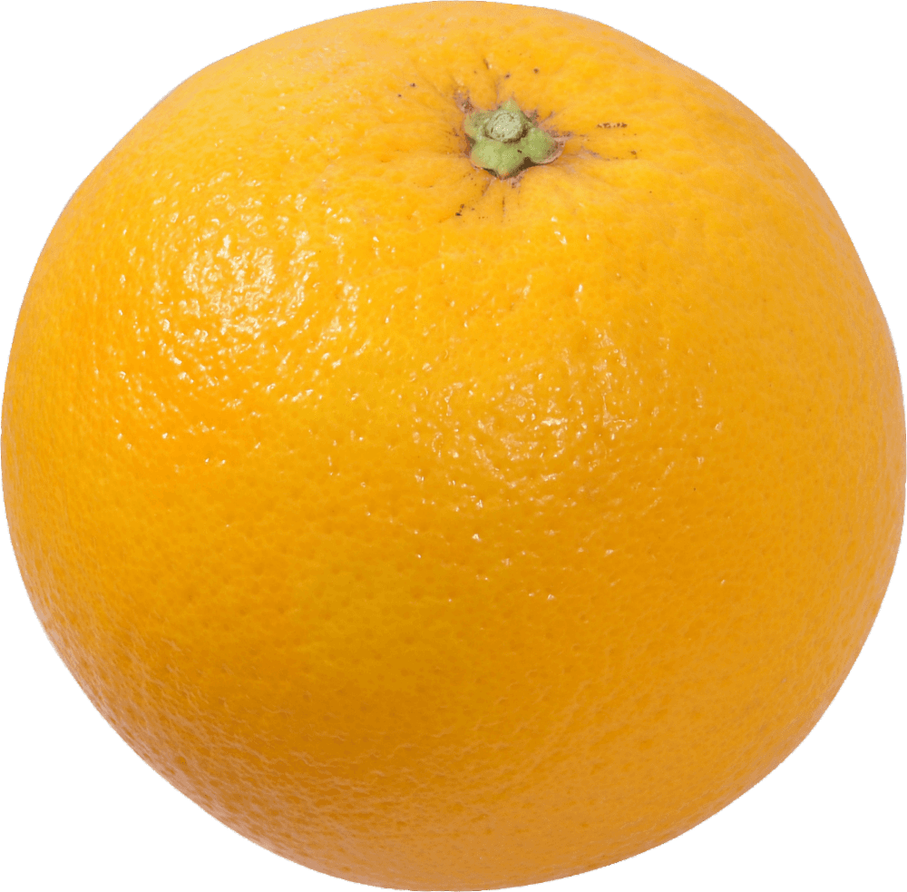 Large Navel Orange