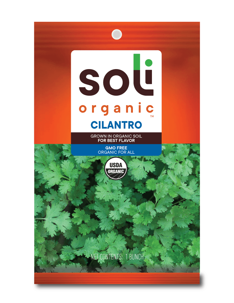 Soli Organic™ Cilantro Bunch