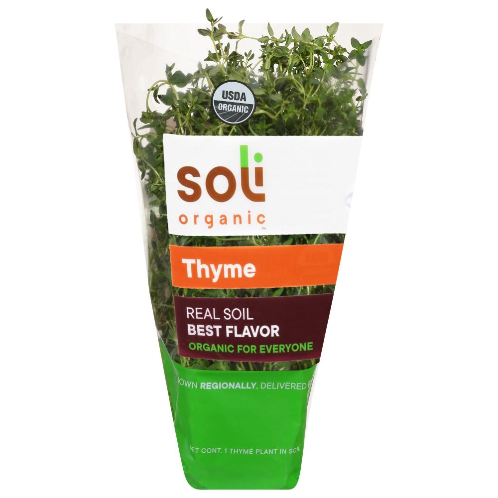 Soli Organic™ Living Thyme